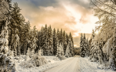 Besinnlichkeit in der Weihnachtszeit | Weihrauch