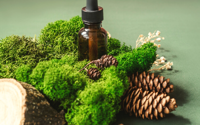 5 Schritte zu mehr Nachhaltigkeit in der Aromatherapie