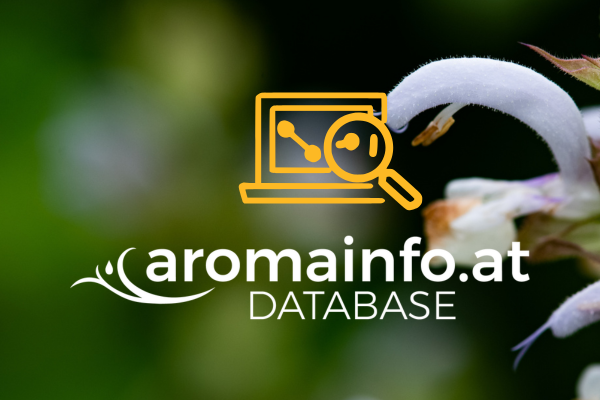 aromainfo-Datenbank | Online-Lexikon für ätherische Öle