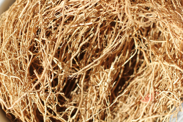 Vetiver | Der Phoenix aus der Asche