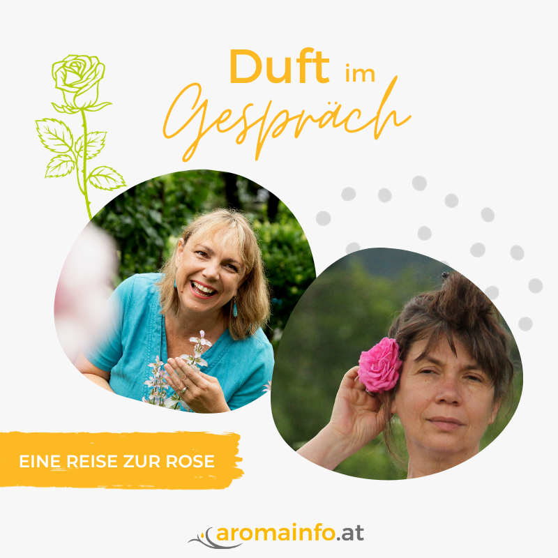 Duft im Gespräch_Rose_Website