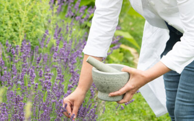 MedScent® BASIC Live-Webinar (24.-26.09.2026)