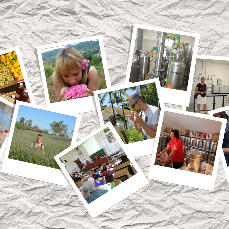 Aroma-Hausapotheke für den Herbst & Winter