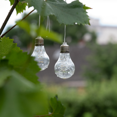 Ingrid Karner – aromainfo.at